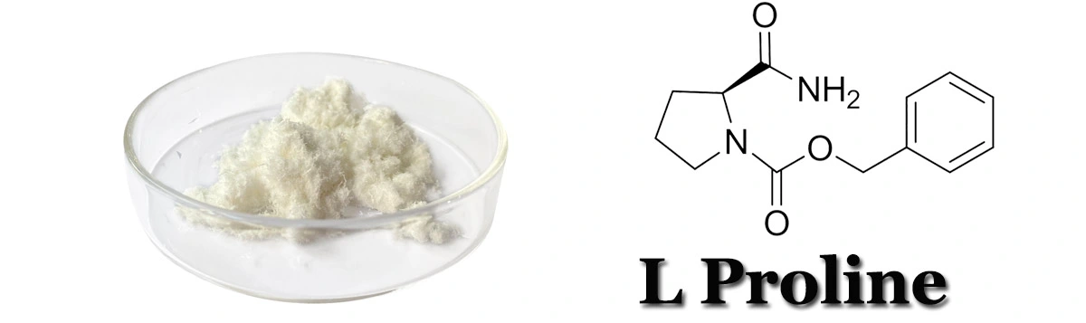L Proline Powder Pure.jpg
